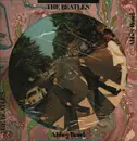 Picture Disc - The Beatles - Abbey Road - + Insert