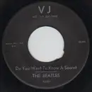 7inch Vinyl Single - The Beatles - Do You Want To Know A Secret - US Original