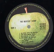 Double LP - The Beatles - The Beatles' Story - Jap. box + booklet