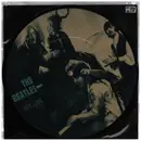 7inch Vinyl Single - The Beatles - Hey Jude - Picture Disc