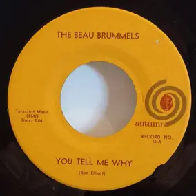 The Beau Brummels - You Tell Me Why