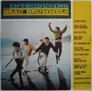 LP - The Beau Brummels - Introducing