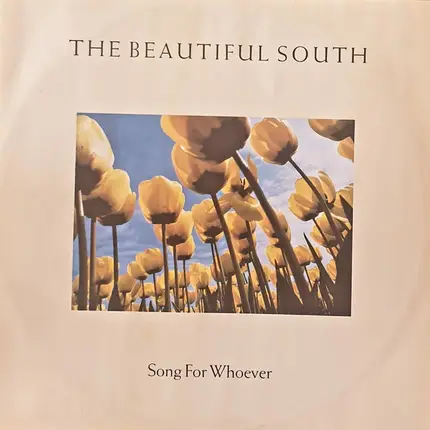 The Beautiful South - Song For Whoever
