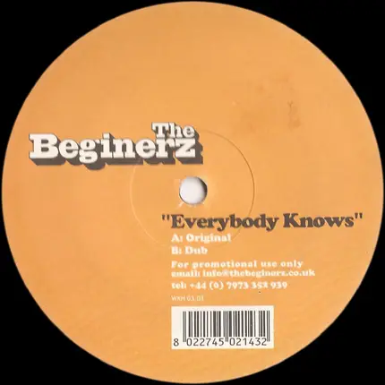 The Beginerz - Everybody Knows