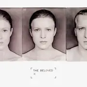 LP - The Beloved - X