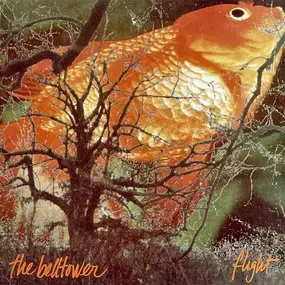 The Belltower - Flight