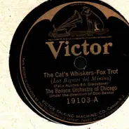 The Benson Orchestra Of Chicago - The Cat's Whiskers / In A Tent