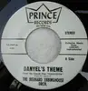 7inch Vinyl Single - The Bernard Ebbinghouse Orchestra - Danyel's Theme / Evening Rain