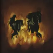 The Besnard Lakes - The Besnard Lakes Are the Dark Horse