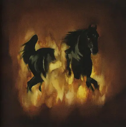 The Besnard Lakes - The Besnard Lakes Are the Dark Horse