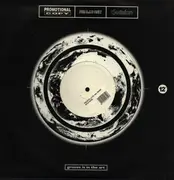 12inch Vinyl Single - The Bitch Hotel Featuring Denise - Bitch Hotel