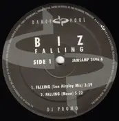 the biz - Falling (Remixes)