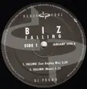 12'' - The Biz - Falling (Remixes)