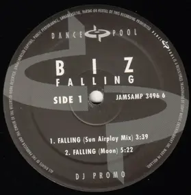 the biz - Falling (Remixes)