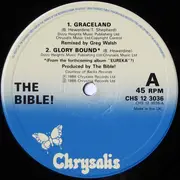 12inch Vinyl Single - The Bible - Graceland