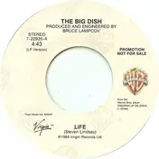 Big Dish - Life