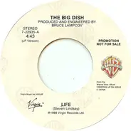 The Big Dish - Life