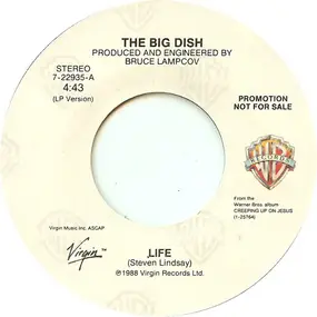 Big Dish - Life