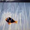 LP - The Big Dish - Swimmer