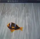 LP - The Big Dish - Swimmer