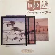 Big Dish