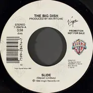 The Big Dish - Slide