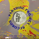 12inch Vinyl Single - The Big Family - Set Me Free