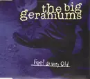 CD Single - The Big Geraniums - Feel So Very Old