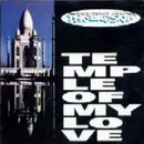 CD - The Big Skip - Temple Of My Love