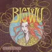 CD - The Big Wu - Spring Reverb