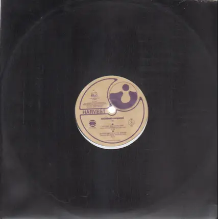 The Bionaut - re:(mixed company)