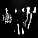 LP - The Birthday Party - The Birthday Party