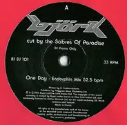 Björk Cut By Sabres Of Paradise - One Day