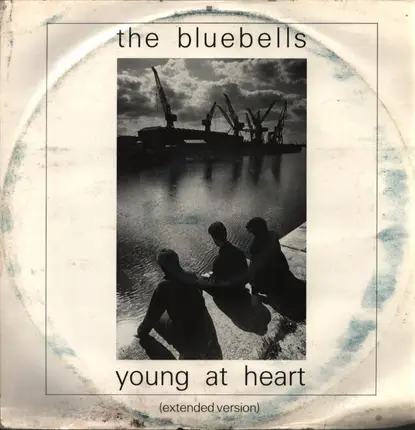 The Bluebells - Young At Heart