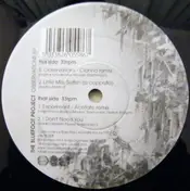 Bluefoot Project - Observations