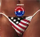 CD - The Black Crowes - Amorica. - Digipak