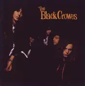 The Black Crowes - Shake Your Money Maker Live