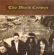 LP - The Black Crowes - The Southern Harmony And Musical Companion