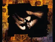 CD - The Black Sorrows - Lucky Charm