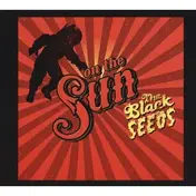 the black seeds - On The Sun