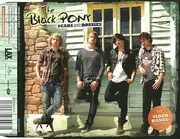 CD Single - The Black Pony - Scars And Bruises