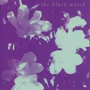 The Black Watch - Flowering