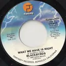 7inch Vinyl Single - The Blackbyrds - What We Have Is Right