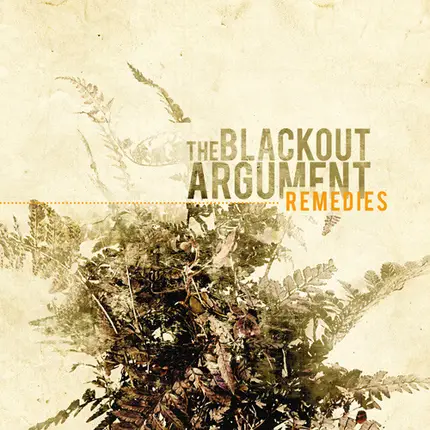 The Blackout Argument - Remedies