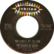 The Blades of Grass - You Turned Off The Sun / The Way You'll Never Be