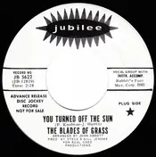 The Blades of Grass - You Turned Off The Sun