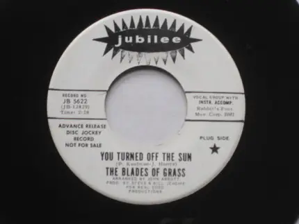 The Blades Of Grass - You Turned Off The Sun