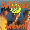 LP - The Blake Babies - Sunburn
