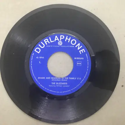 The Blizzards - Shame And Scandal In The Family