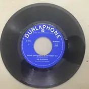 The Blizzards - Shame And Scandal In The Family